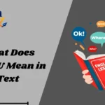 What Does SYBAU Mean in Text